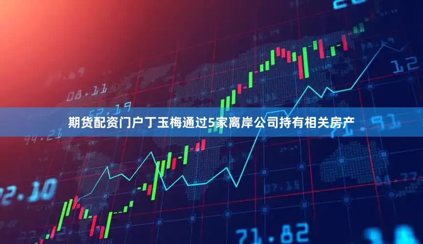 期货配资门户丁玉梅通过5家离岸公司持有相关房产
