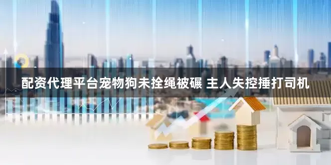 配资代理平台宠物狗未拴绳被碾 主人失控捶打司机