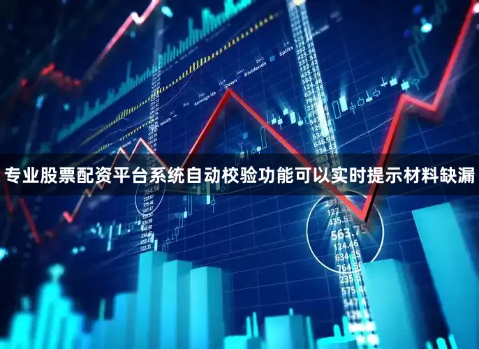 专业股票配资平台系统自动校验功能可以实时提示材料缺漏