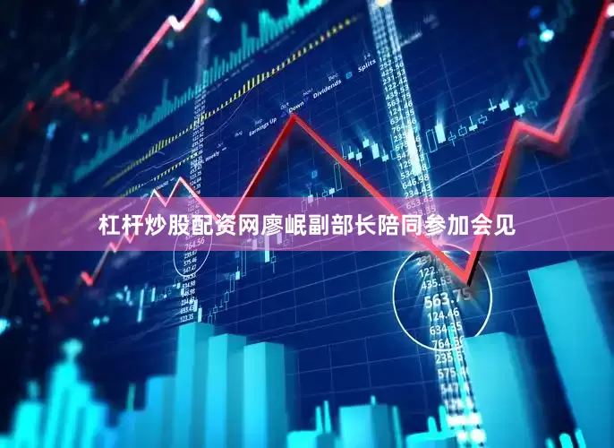 杠杆炒股配资网廖岷副部长陪同参加会见