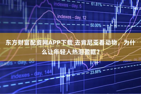 东方财富配资网APP下载 去肯尼亚看动物，为什么让年轻人热泪盈眶？