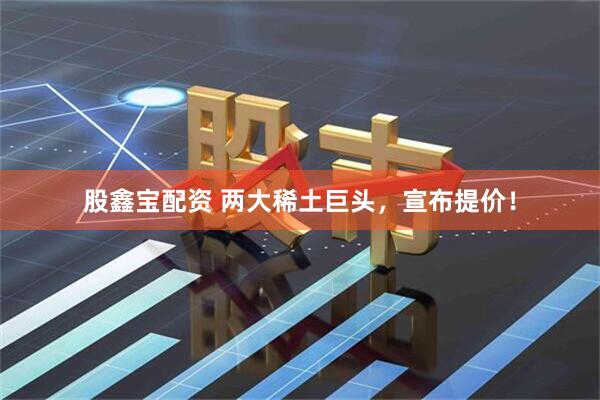 股鑫宝配资 两大稀土巨头，宣布提价！