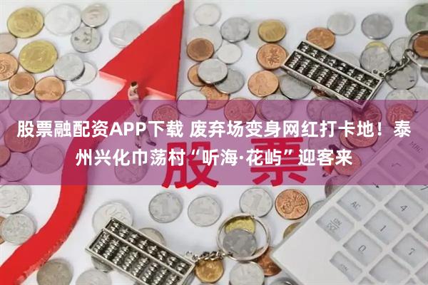 股票融配资APP下载 废弃场变身网红打卡地！泰州兴化巾荡村“听海·花屿”迎客来